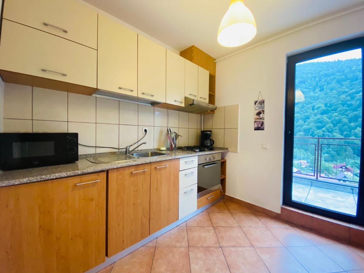 Mountain View Penthouse Apartament Sinaia Zewnętrze zdjęcie